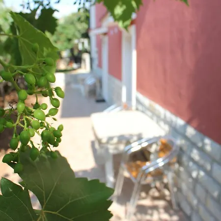 Apartments Toni Trogir Room photo