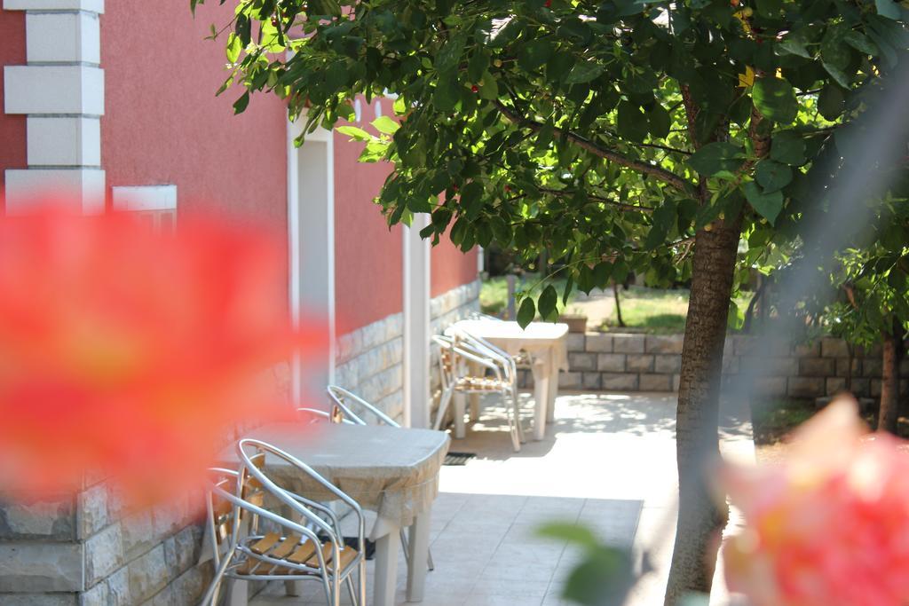 Toni Trogir